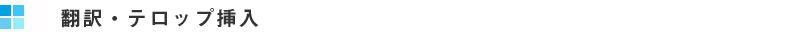 翻訳　テロップ挿入
