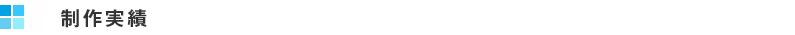 制作実績　海外向け動画　翻訳　字幕　テロップ